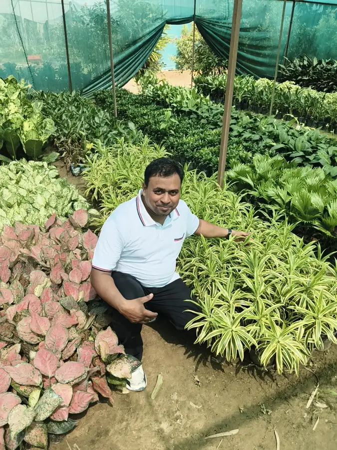 Ornamental foliage plants under a shade net at LEAFFLIX Nursery