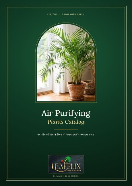 Air Purifying Plants Catalog
