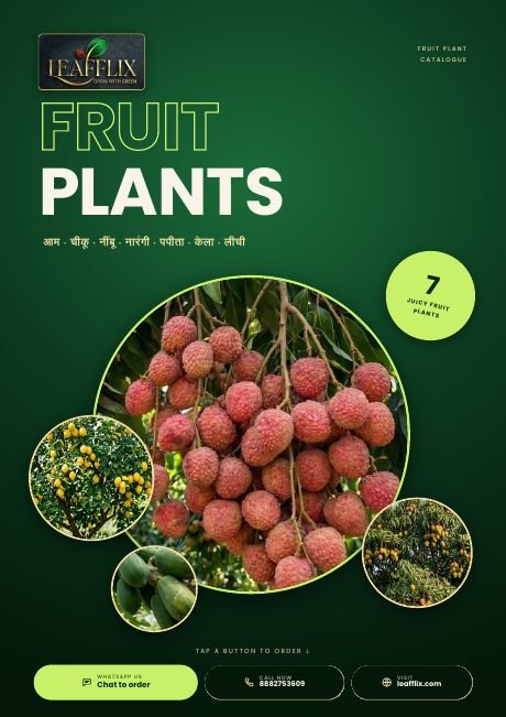 Fruit Plants Catalogue