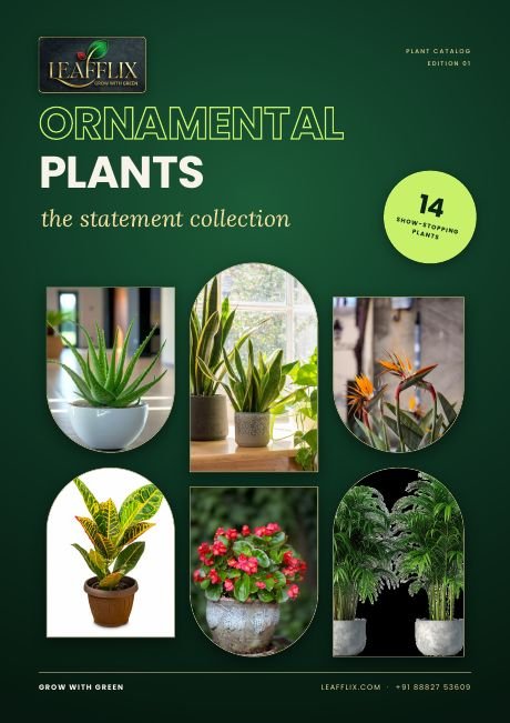 Ornamental Plants eBook